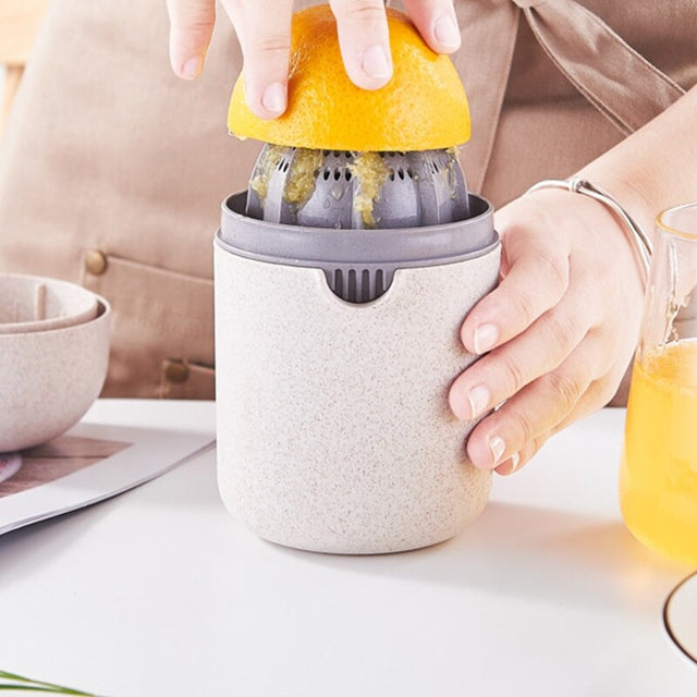 Manual Juicer 1 Zarya